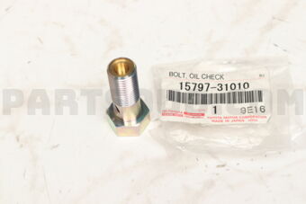 1579731010 BOLT, OIL CHECK VALVE