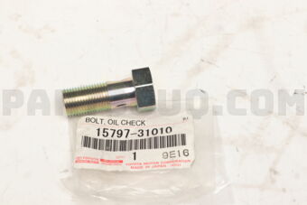 1579731010 BOLT, OIL CHECK VALVE