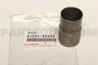 4123122020 SPACER, REAR DIFFERENTIAL DRIVE PI