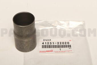 4123122020 SPACER, REAR DIFFERENTIAL DRIVE PI