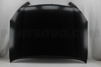 5330160470 HOOD SUB-ASSY