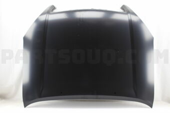 5330160470 HOOD SUB-ASSY