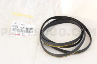 5385142160C0 PAD, FRONT WHEEL OPENING EXTENSI
