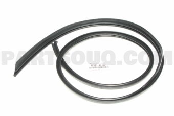 6238189102 WEATHERSTRIP, ROOF SIDE RAIL, RH