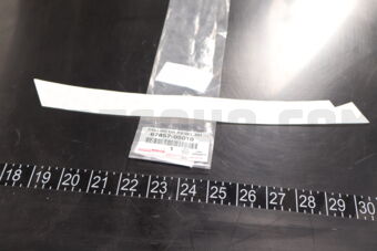 6785705010 PROTECTOR, REAR DOOR PANEL, RH