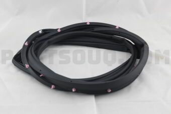 6786260120 WEATHERSTRIP, FRONT DOOR, LH