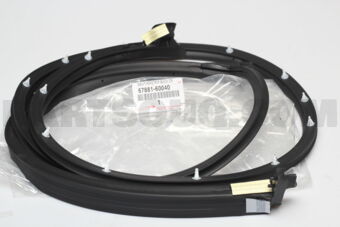 6788160040 WEATHERSTRIP, BACK DOOR