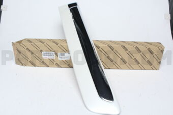 7507660100A0 MOULDING SUB-ASSY, REAR DOOR, OU