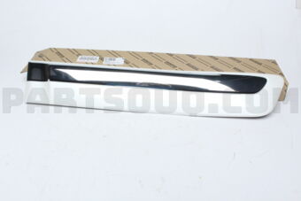 7507660100A0 MOULDING SUB-ASSY, REAR DOOR, OU
