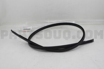 7555505071 MOULDING, ROOF DRIP SIDE FINISH, C