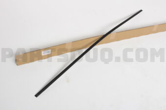 7555512120 MOULDING, ROOF DRIP SIDE FINISH, C