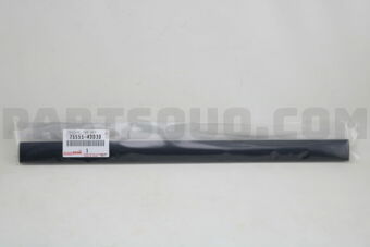 7555542030 MOULDING, ROOF DRIP SIDE FINISH, C