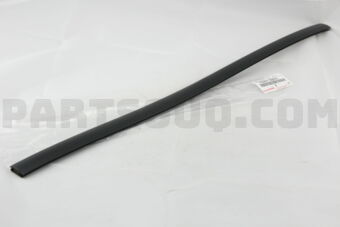 7555760031 MOULDING, ROOF DRIP SIDE FINISH, C