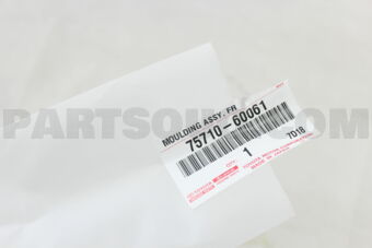 7571060061 MOULDING ASSY, FRONT DOOR BELT, RH