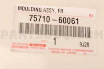 7571060061 MOULDING ASSY, FRONT DOOR BELT, RH