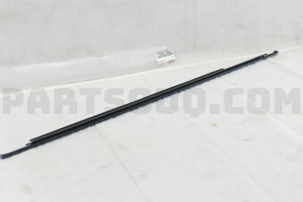 7573012251 MOULDING ASSY, REAR DOOR BELT, RH