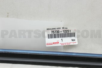 7573012251 MOULDING ASSY, REAR DOOR BELT, RH