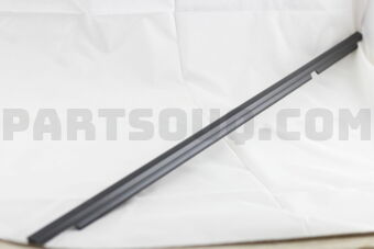 7573012262 MOULDING ASSY, REAR DOOR BELT, RH