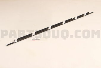 7573060010 MOULDING ASSY, REAR DOOR BELT, RH