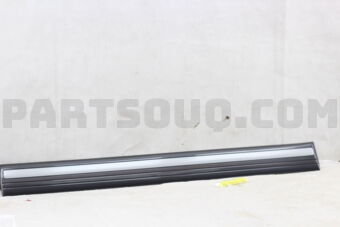 7573160120D0 Toyota MOULDING, FRONT DOOR, OUTSIDE RH