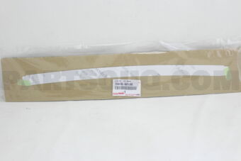 7597660100 STRIPE, FRONT DOOR, OUTSIDE LWR LH