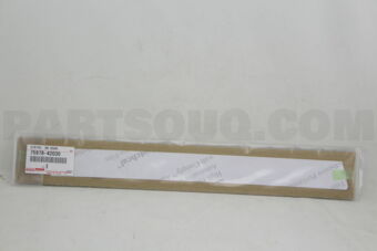 7597842030 STRIPE, REAR DOOR OUTSIDE, LOWER L