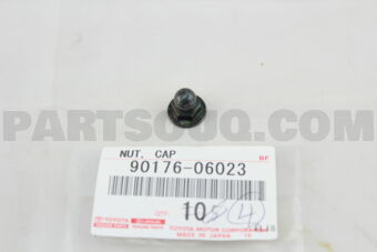 9017606023 NUT, CAP