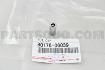 9017606039 NUT, CAP