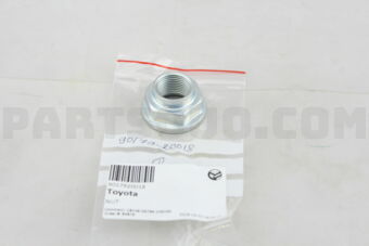 9017920018 NUT (FOR DRIVE PINION COMPANION FL