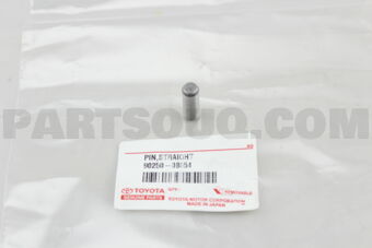 9025008054 PIN, STRAIGHT
