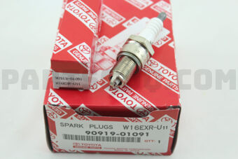 9091901091 PLUG, SPARK