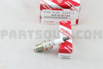 9091901166 PLUG, SPARK