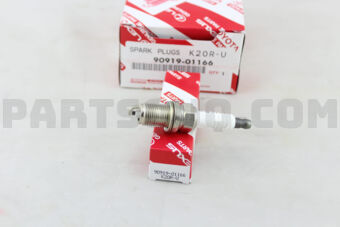 9091901166 PLUG, SPARK