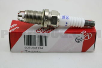 9091901194 PLUG, SPARK