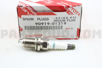 9091901219 PLUG, SPARK