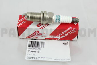 9091901221 PLUG, SPARK