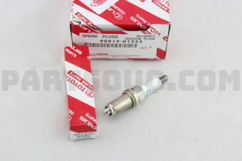 9091901233 PLUG, SPARK