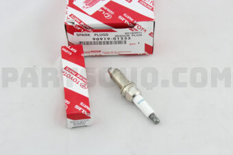 9091901233 PLUG, SPARK