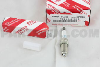 9091901243 PLUG, SPARK