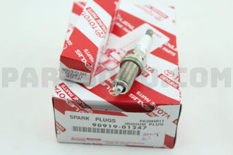 9091901247 PLUG, SPARK