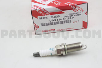 9091901249 PLUG, SPARK