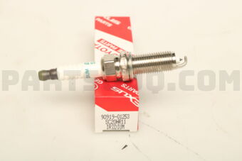 9091901253 PLUG, SPARK