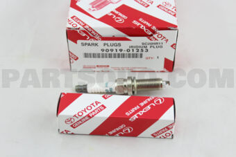 9091901253 PLUG, SPARK