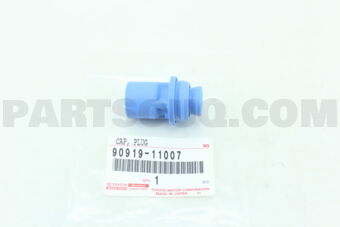 9091911007 CAP, PLUG