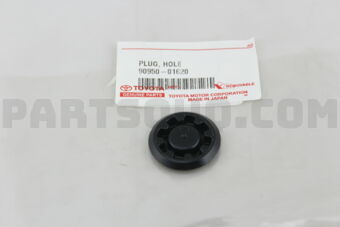 9095001620 PLUG, HOLE