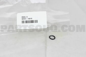 9674119010 RING, O(FOR OIL LEVEL GAGE GUIDE)