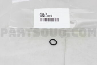 9674119010 RING, O(FOR OIL LEVEL GAGE GUIDE)