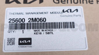 Hyundai / KIA 256002M060 THERMAL MANAGEMENT MODULE