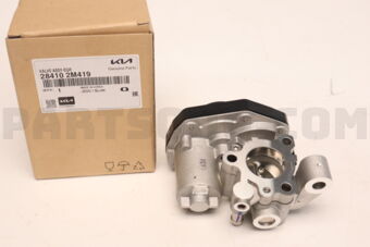 Hyundai / KIA 284102M419 VALVE ASSY-EGR