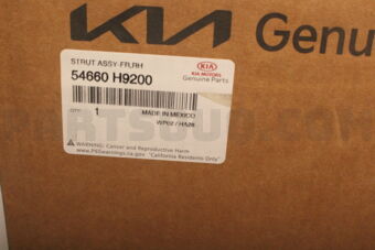 Hyundai / KIA 54660H9200 STRUTASSY-FRRH